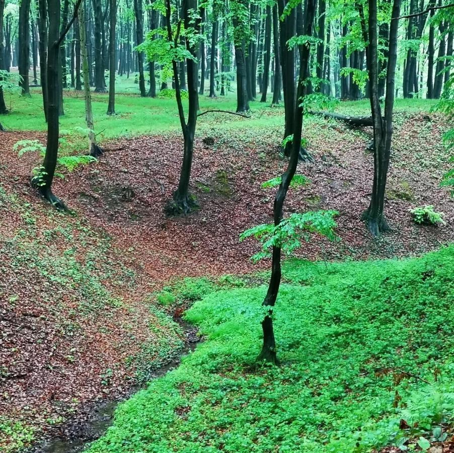 Ranczo W Dolinie Karpia - Blisko "Energylandii" Zator Villa Spytkowice  Luaran gambar